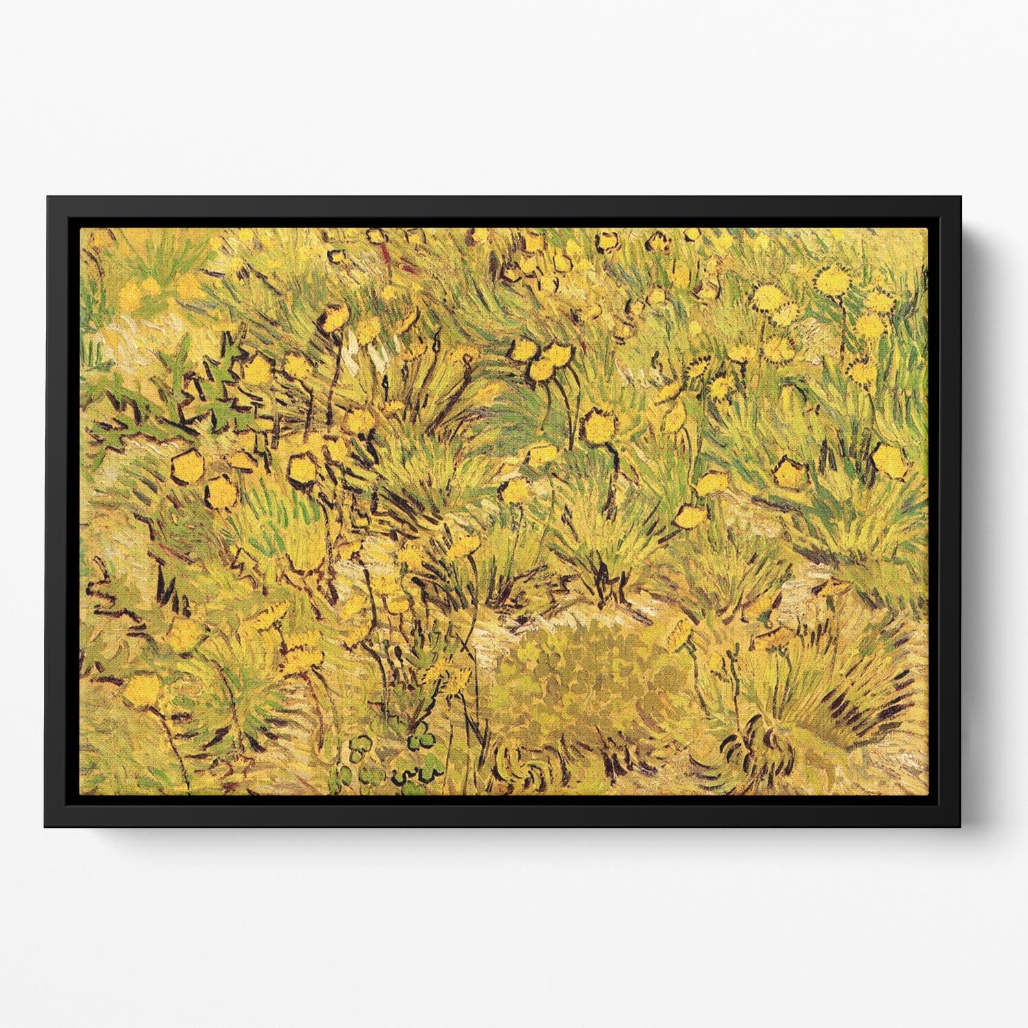 A Field of Yellow Flowers by Van Gogh Floating Framed Canvas
