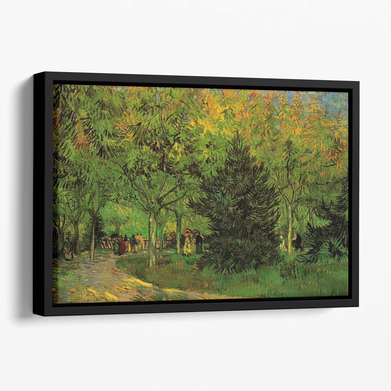A Lane in the Public Garden at Arles by Van Gogh Floating Framed Canvas