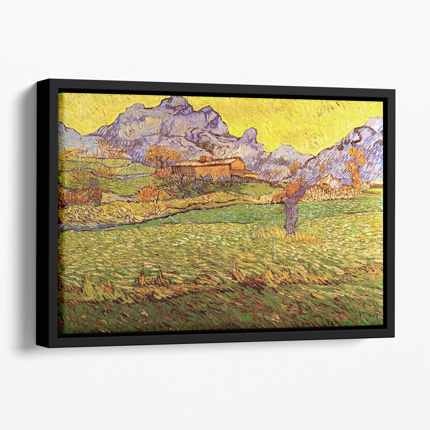 A Meadow in the Mountains Le Mas de Saint-Paul by Van Gogh Floating Framed Canvas