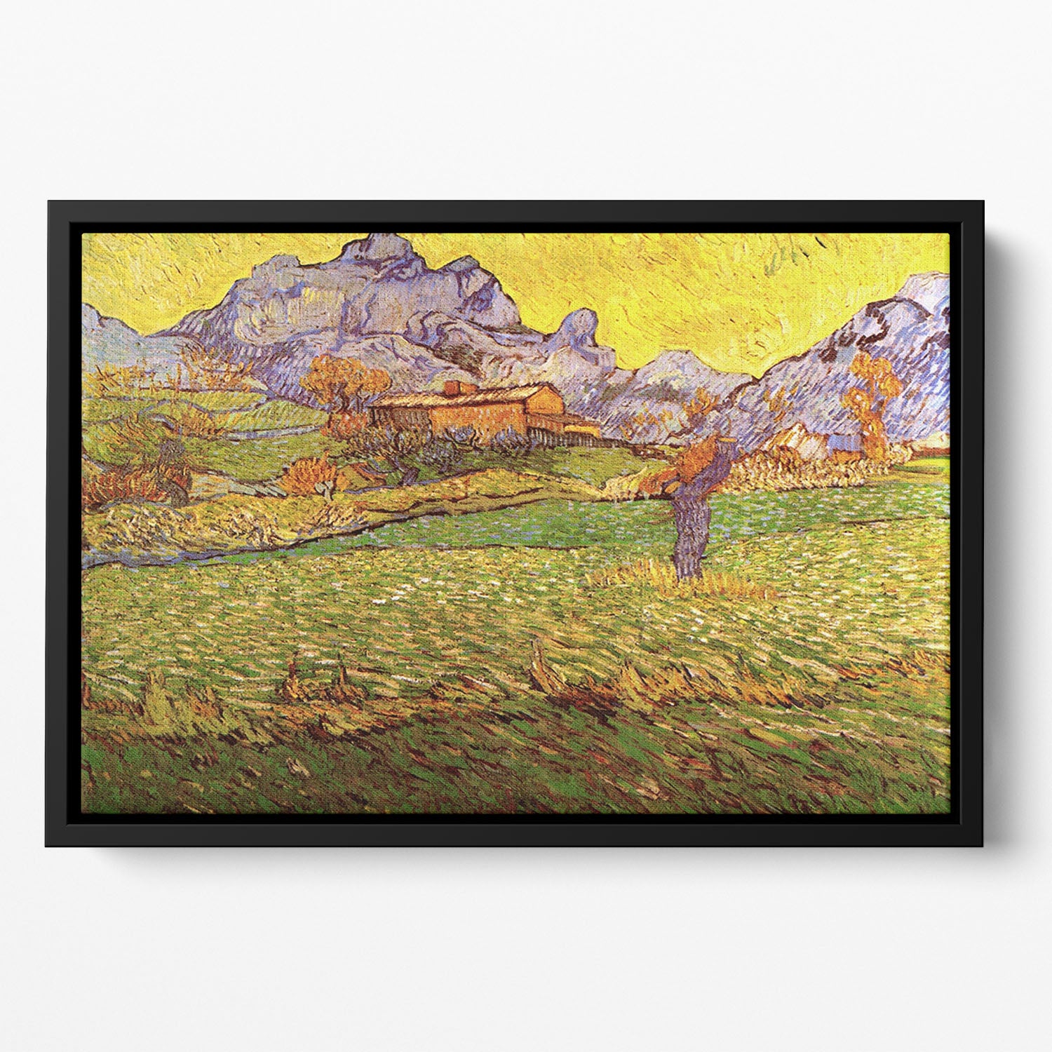 A Meadow in the Mountains Le Mas de Saint-Paul by Van Gogh Floating Framed Canvas