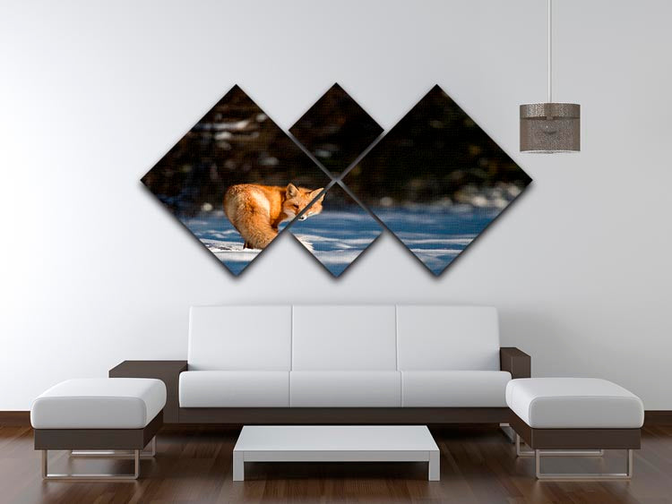 A Red Fox turns back to look at the camera 4 Square Multi Panel Canvas - Canvas Art Rocks - 3