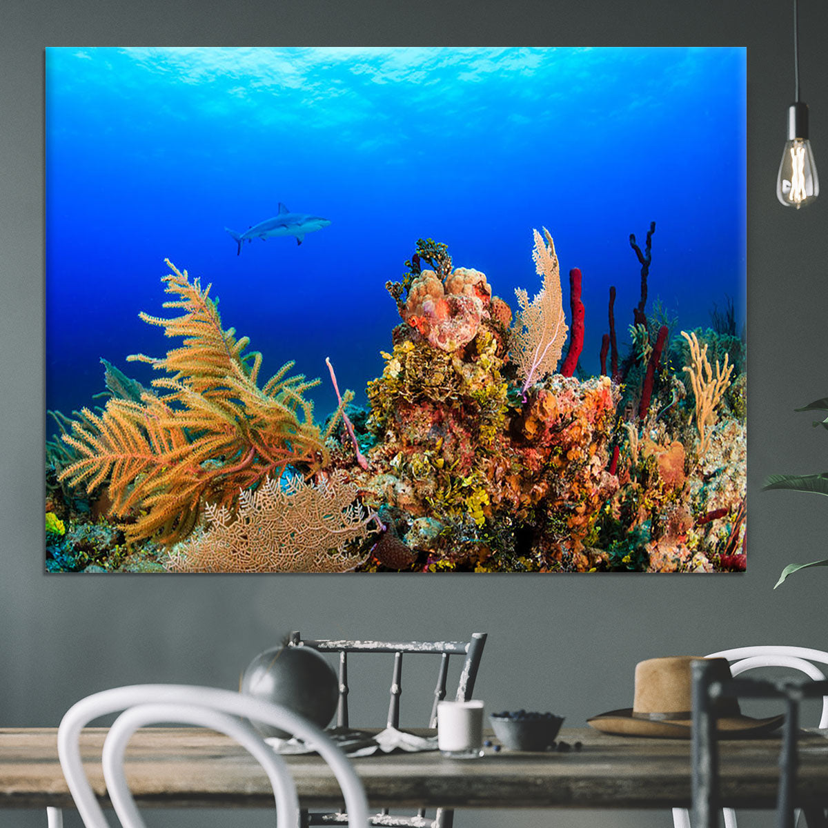 A Reef shark swimming on a tropical coral reef Canvas Print or Poster - Canvas Art Rocks - 3