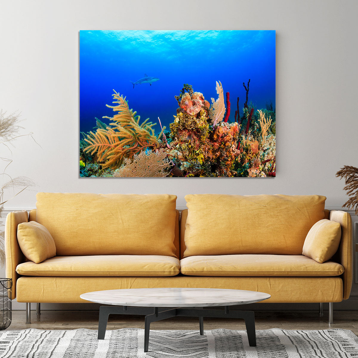 A Reef shark swimming on a tropical coral reef Canvas Print or Poster - Canvas Art Rocks - 4