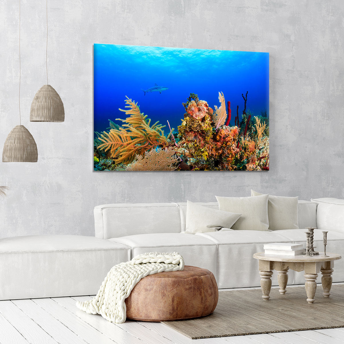 A Reef shark swimming on a tropical coral reef Canvas Print or Poster - Canvas Art Rocks - 6