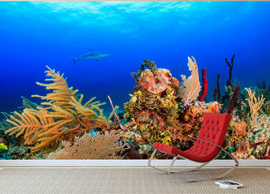 A Reef shark swimming on a tropical coral reef Wall Mural Wallpaper - Canvas Art Rocks - 2