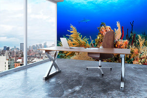 A Reef shark swimming on a tropical coral reef Wall Mural Wallpaper - Canvas Art Rocks - 3