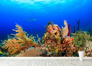 A Reef shark swimming on a tropical coral reef Wall Mural Wallpaper - Canvas Art Rocks - 4