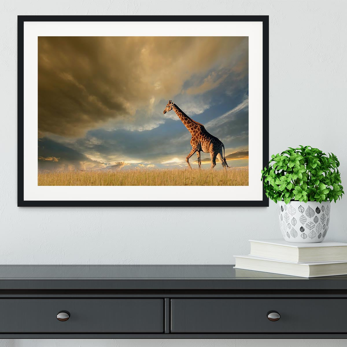 A giraffe walking on the African plains against a dramatic sky Framed Print - Canvas Art Rocks - 1