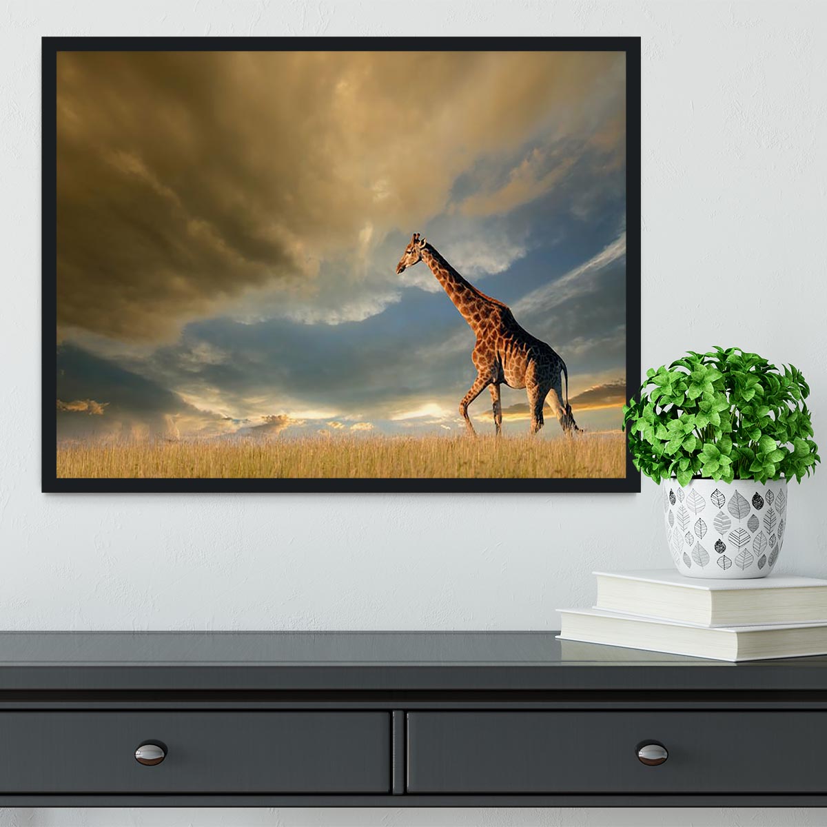 A giraffe walking on the African plains against a dramatic sky Framed Print - Canvas Art Rocks - 2
