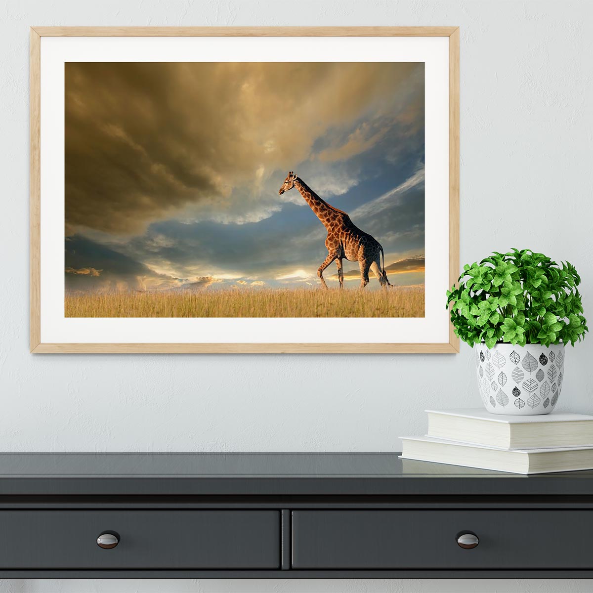 A giraffe walking on the African plains against a dramatic sky Framed Print - Canvas Art Rocks - 3