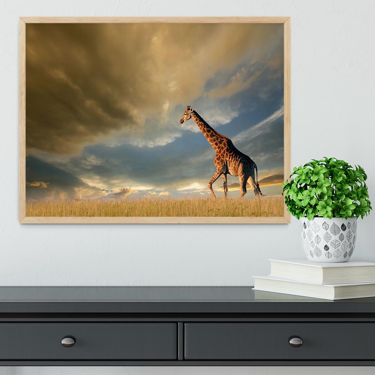 A giraffe walking on the African plains against a dramatic sky Framed Print - Canvas Art Rocks - 4