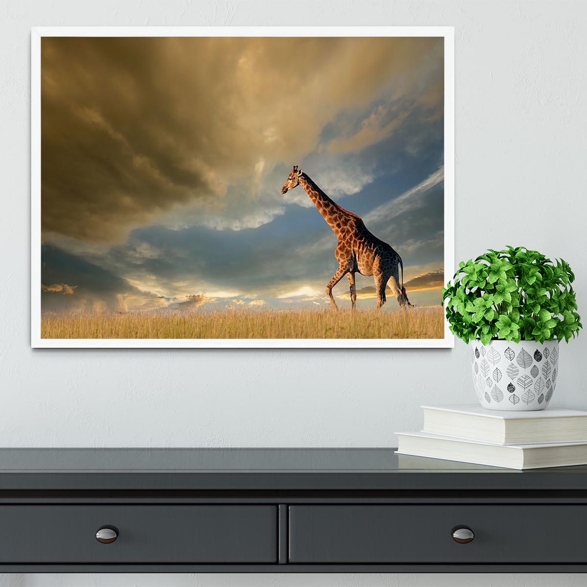 A giraffe walking on the African plains against a dramatic sky Framed Print - Canvas Art Rocks -6