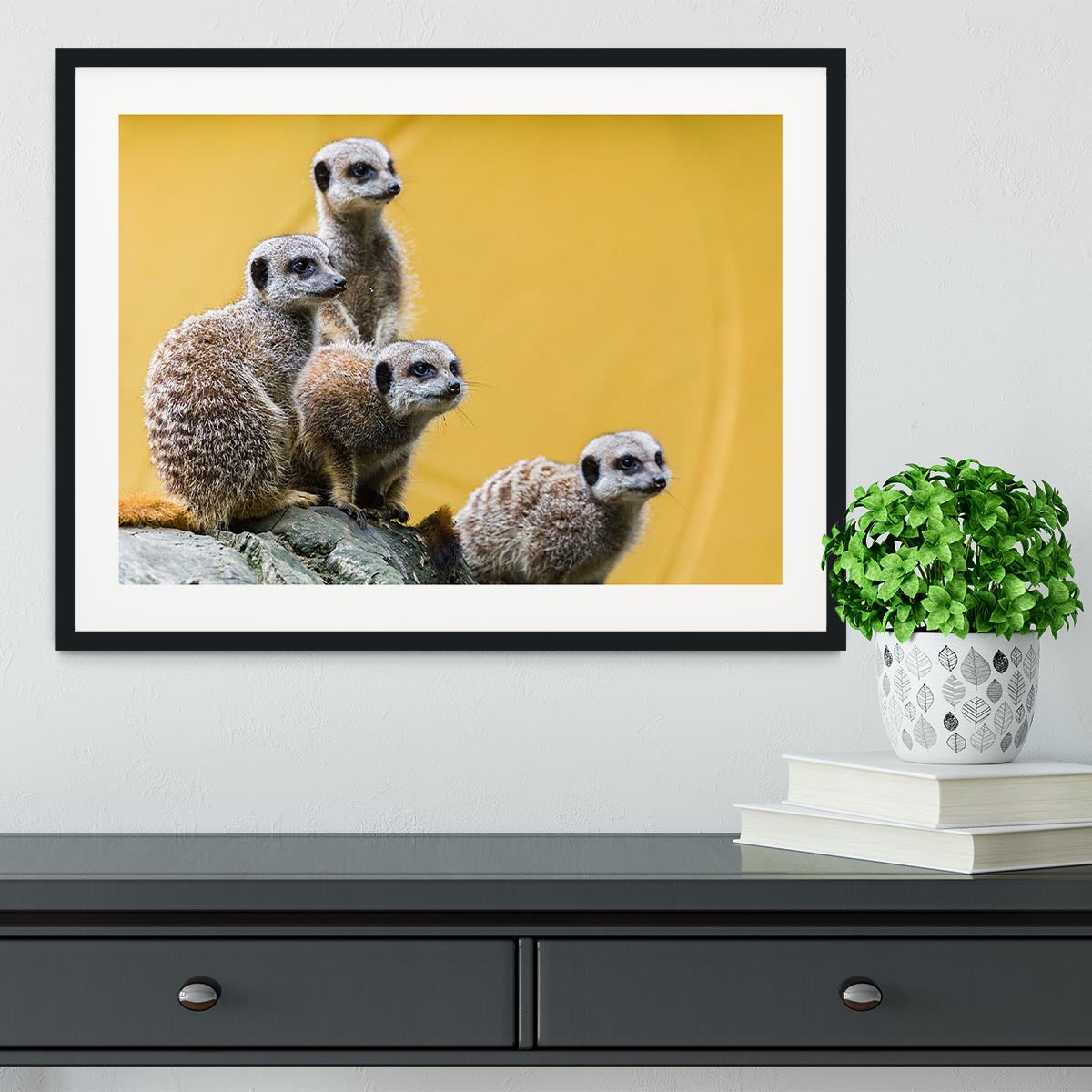 A group of meerkats seen on top of a rock Framed Print - Canvas Art Rocks - 1