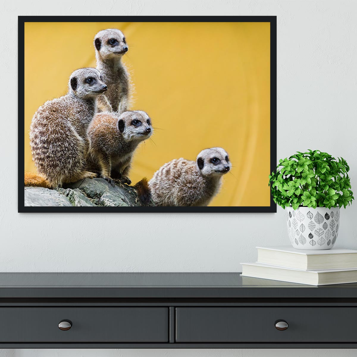 A group of meerkats seen on top of a rock Framed Print - Canvas Art Rocks - 2