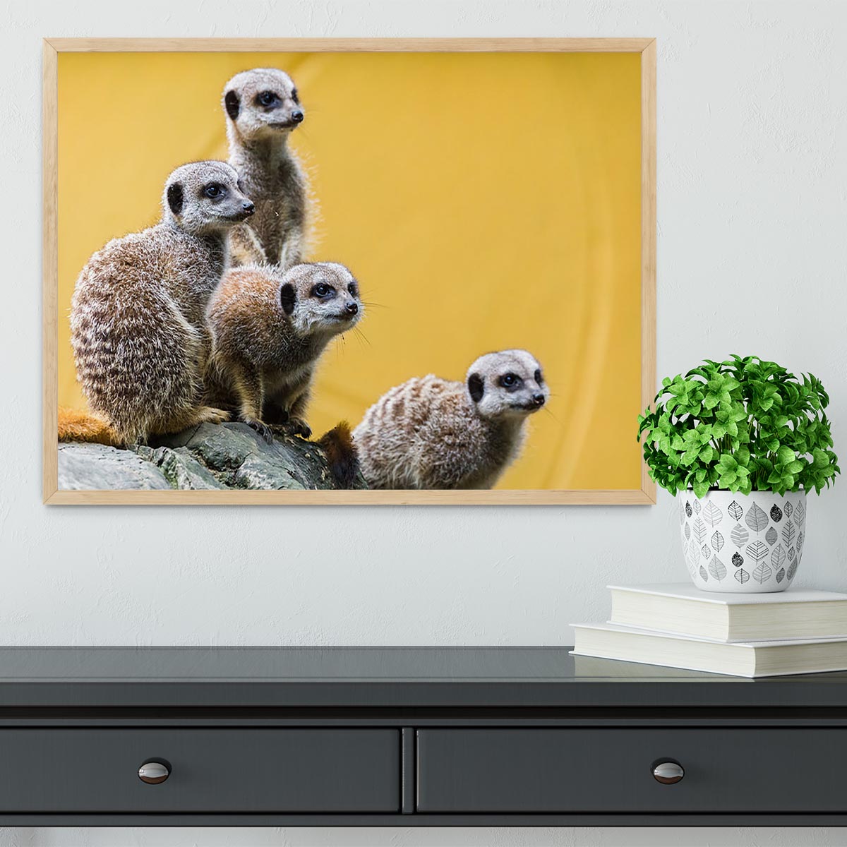 A group of meerkats seen on top of a rock Framed Print - Canvas Art Rocks - 4