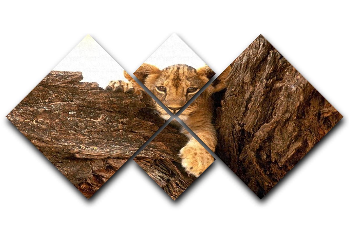 A little tiger cub look out for rocks 4 Square Multi Panel Canvas - Canvas Art Rocks - 1