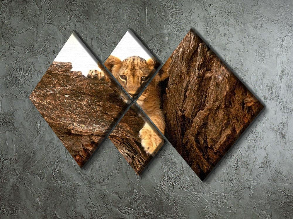 A little tiger cub look out for rocks 4 Square Multi Panel Canvas - Canvas Art Rocks - 2