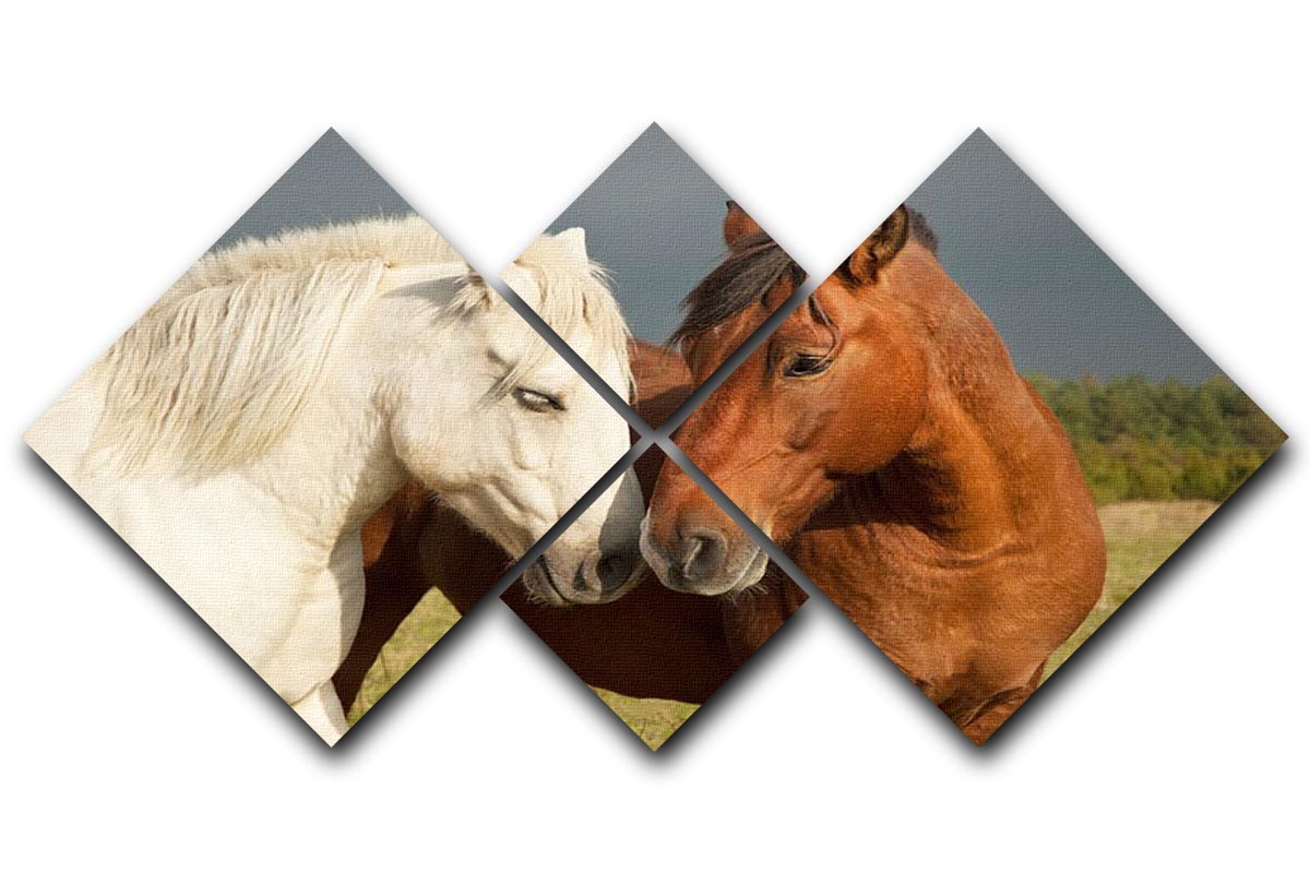 A pair of horses showing affection 4 Square Multi Panel Canvas - Canvas Art Rocks - 1