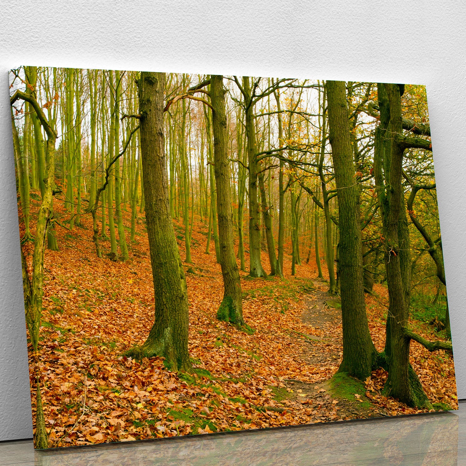 A path through the woods at Haw park Canvas Print or Poster - Canvas Art Rocks - 1