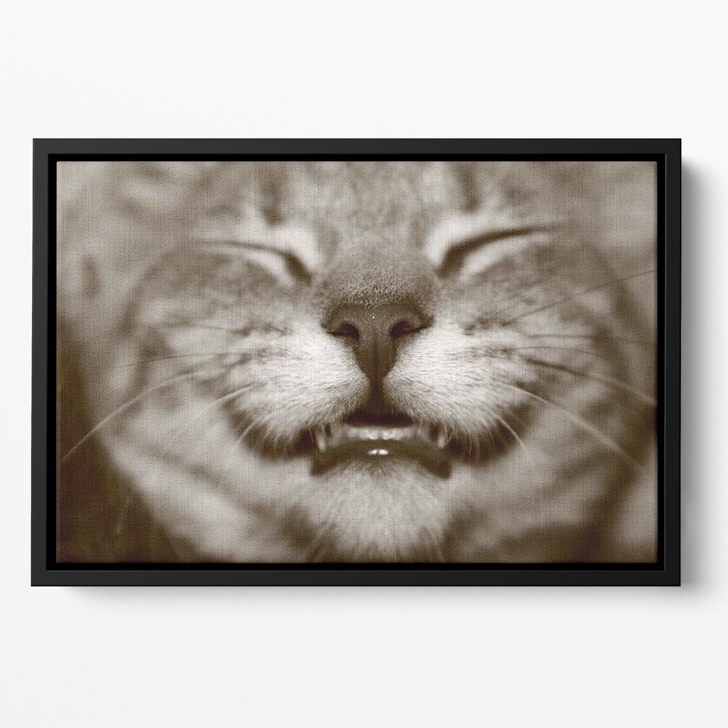 A smiling kitten Floating Framed Canvas - Canvas Art Rocks - 2