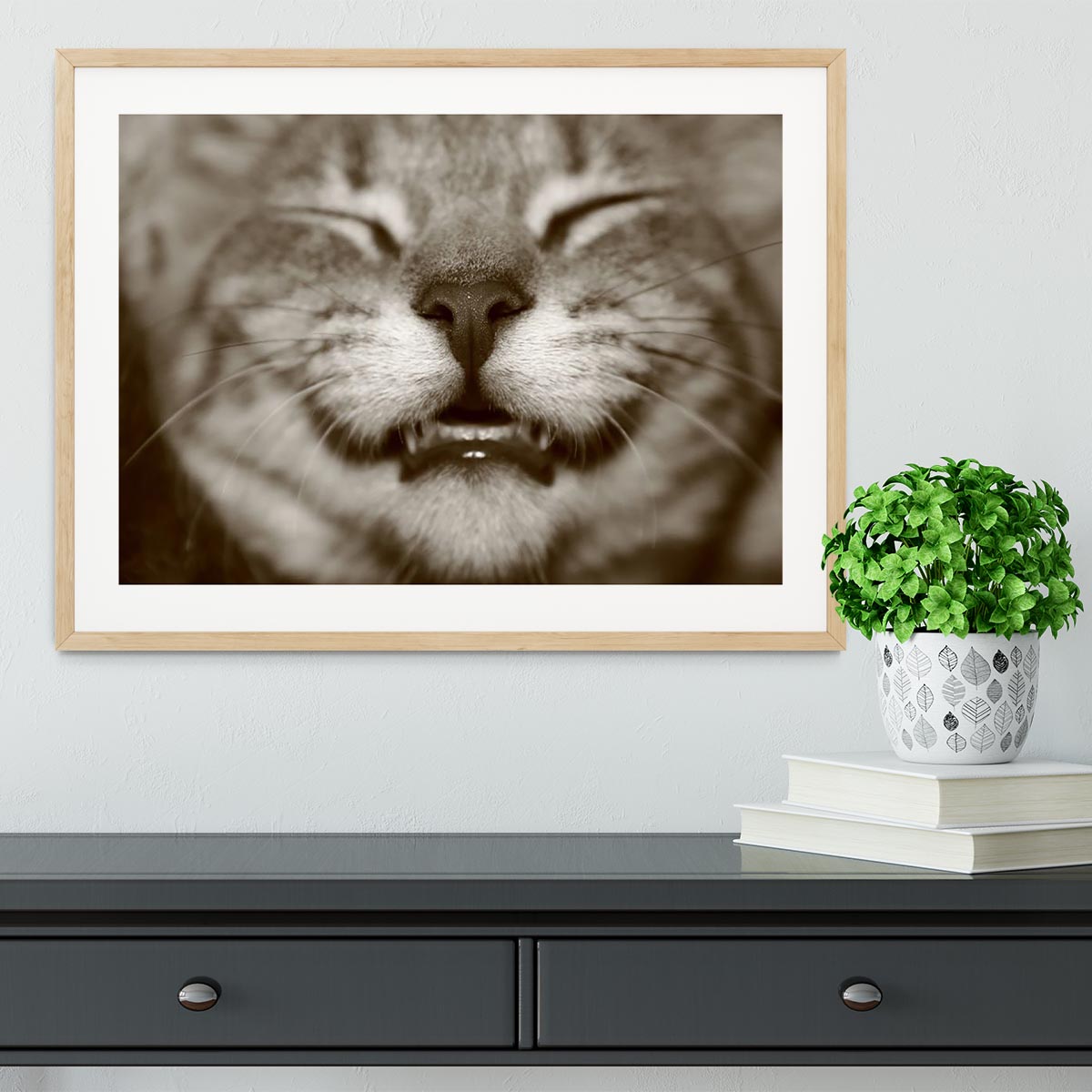 A smiling kitten Framed Print - Canvas Art Rocks - 3