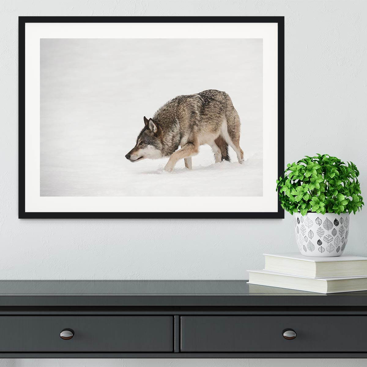 A solitary lone wolf prowls through snow Framed Print - Canvas Art Rocks - 1
