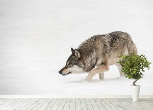 A solitary lone wolf prowls through snow Wall Mural Wallpaper - Canvas Art Rocks - 4