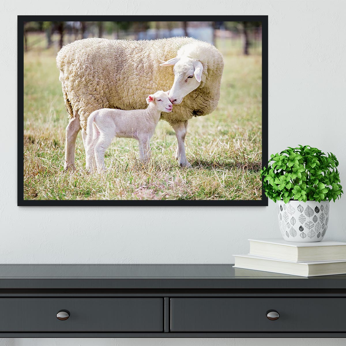 A white suffolk sheep with a lamb Framed Print - Canvas Art Rocks - 2