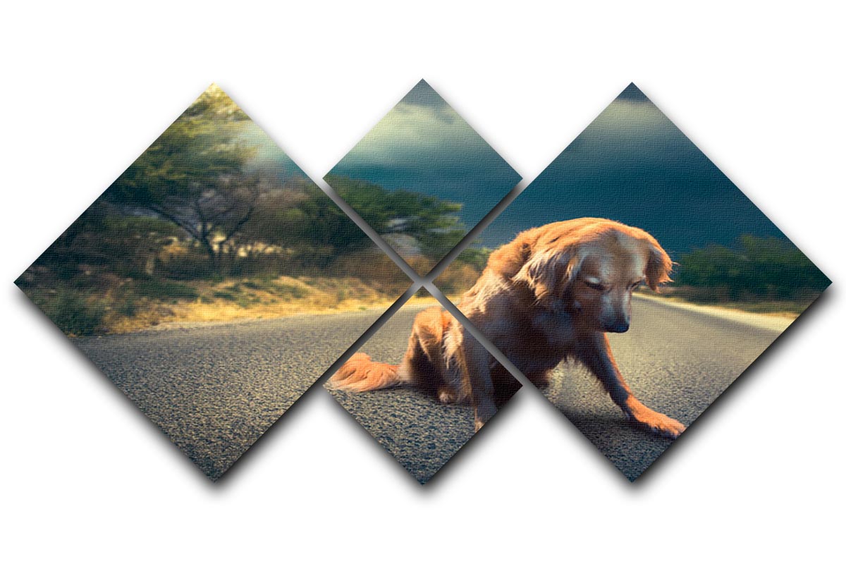 Abandoned dog in the middle of the road 4 Square Multi Panel Canvas - Canvas Art Rocks - 1