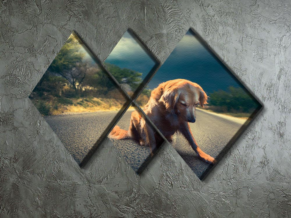 Abandoned dog in the middle of the road 4 Square Multi Panel Canvas - Canvas Art Rocks - 2