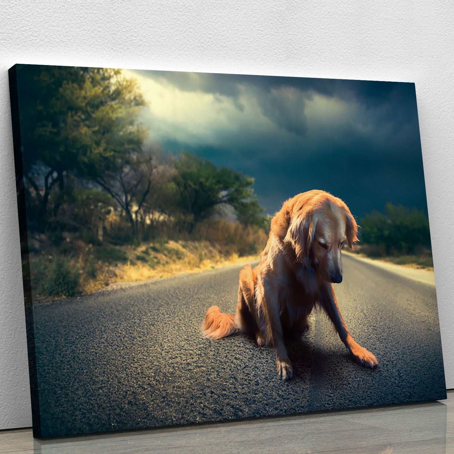 Abandoned dog in the middle of the road Canvas Print or Poster - Canvas Art Rocks - 1