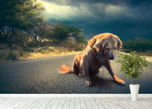 Abandoned dog in the middle of the road Wall Mural Wallpaper - Canvas Art Rocks - 4