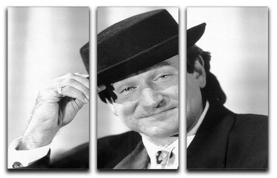 Actor Robin Williams 3 Split Panel Canvas Print - Canvas Art Rocks - 1