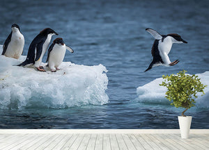 Adelie penguin jumping between two ice floes Wall Mural Wallpaper - Canvas Art Rocks - 4