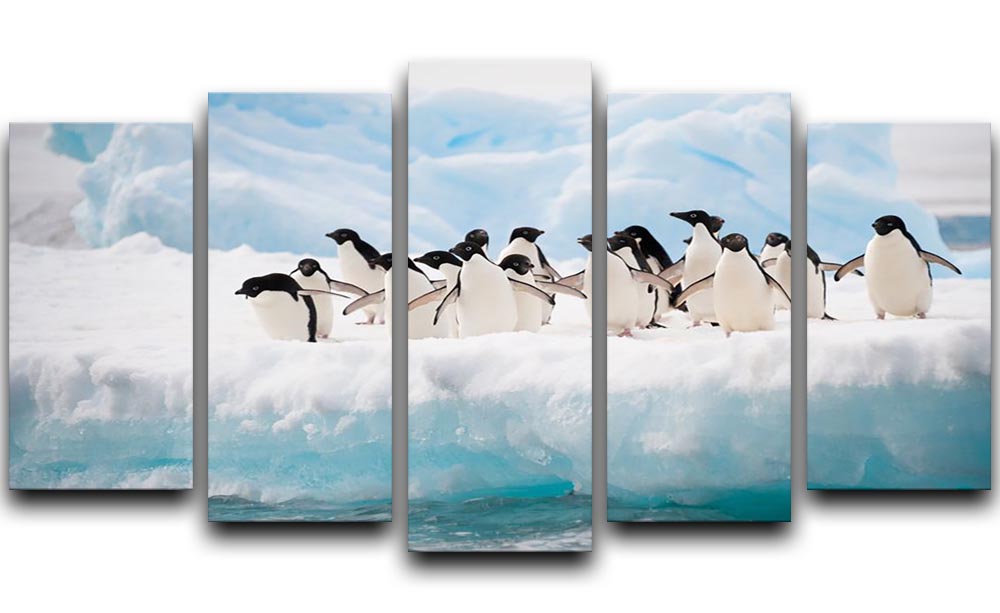 Adelie penguins colony on the iceberg 5 Split Panel Canvas - Canvas Art Rocks - 1