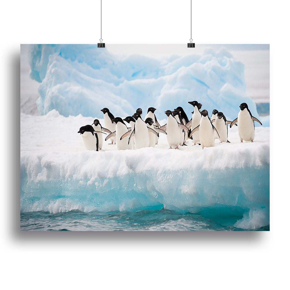 Adelie penguins colony on the iceberg Canvas Print or Poster - Canvas Art Rocks - 2
