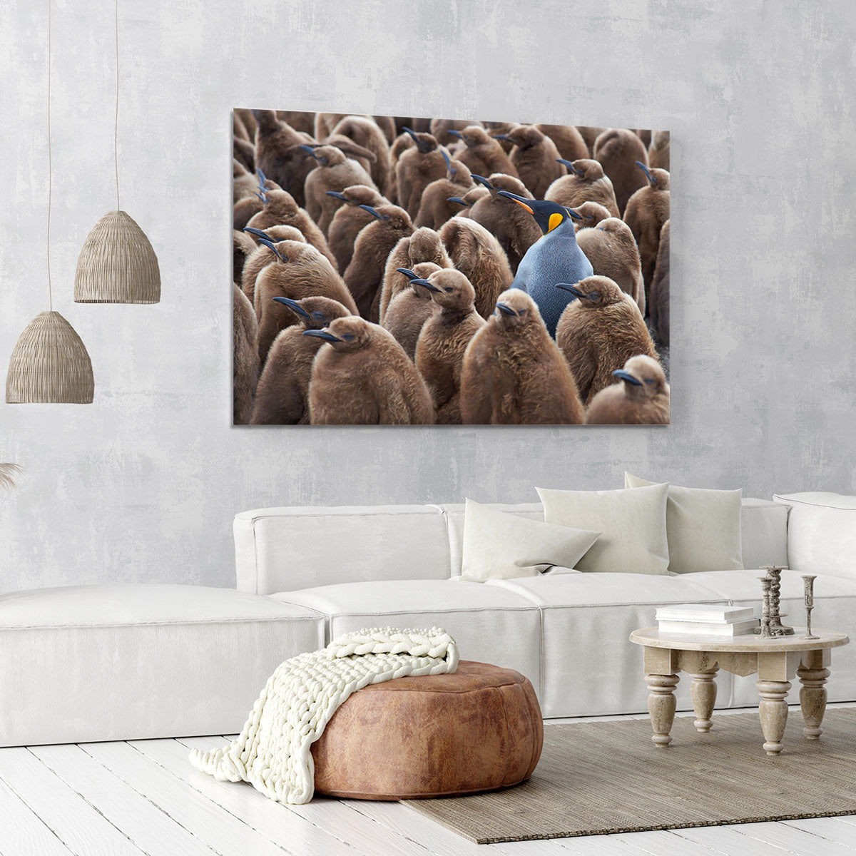Adult King Penguin Aptenodytes patagonicus standing amongst a large group Canvas Print or Poster - Canvas Art Rocks - 6