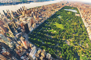Aerial view looking north up Central Park Wall Mural Wallpaper - Canvas Art Rocks - 1