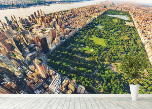 Aerial view looking north up Central Park Wall Mural Wallpaper - Canvas Art Rocks - 4