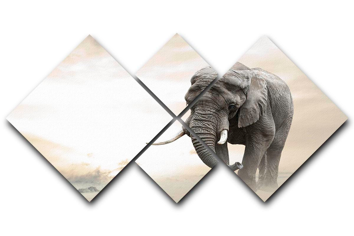 African elephant male walking alone in desert at sunset 4 Square Multi Panel Canvas - Canvas Art Rocks - 1