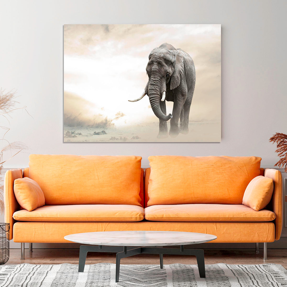 African elephant male walking alone in desert at sunset Canvas Print or Poster - Canvas Art Rocks - 4