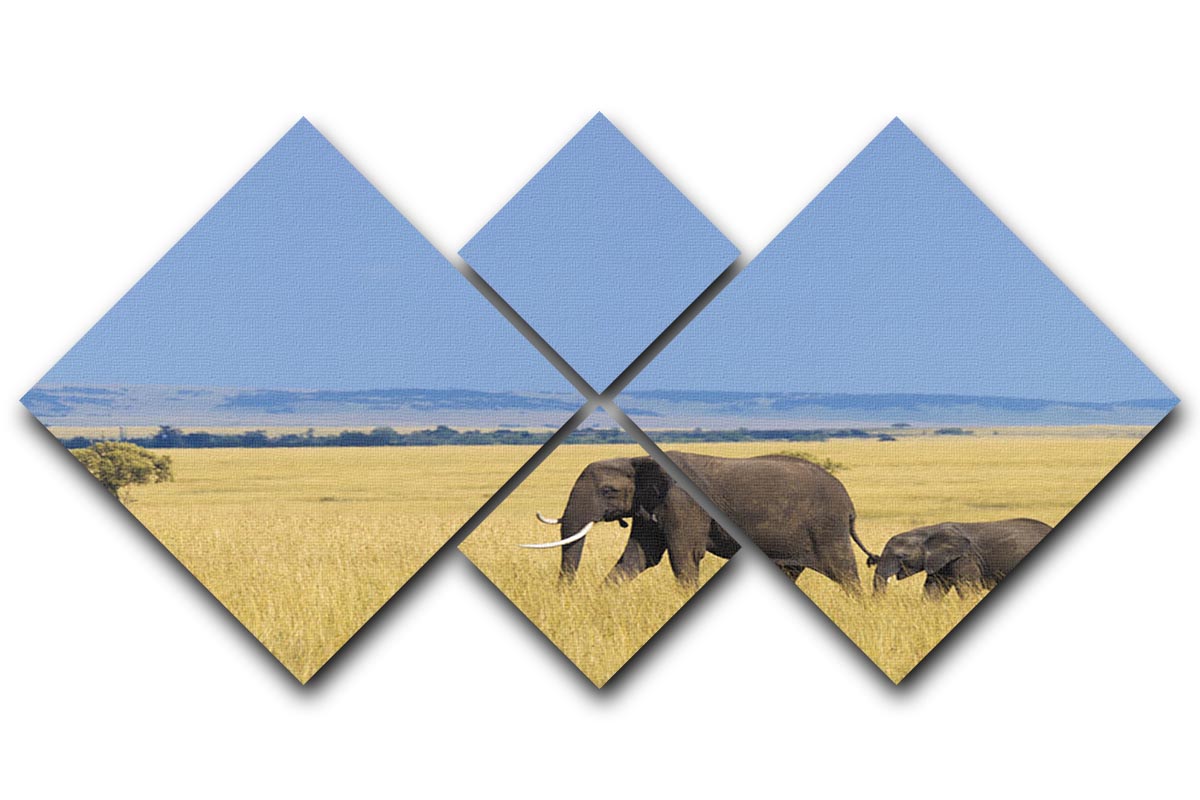 African elephant with calf 4 Square Multi Panel Canvas - Canvas Art Rocks - 1