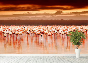 African flamingos in the lake over beautiful sunset Wall Mural Wallpaper - Canvas Art Rocks - 4