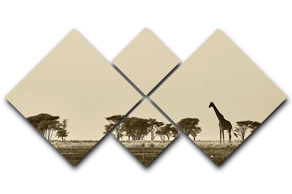 African landscape with giraffe in black and white 4 Square Multi Panel Canvas - Canvas Art Rocks - 1