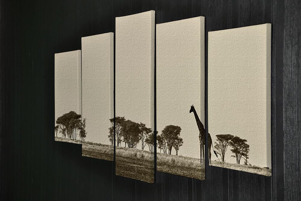 African landscape with giraffe in black and white 5 Split Panel Canvas - Canvas Art Rocks - 2
