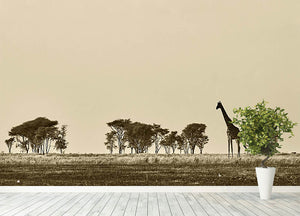 African landscape with giraffe in black and white Wall Mural Wallpaper - Canvas Art Rocks - 4