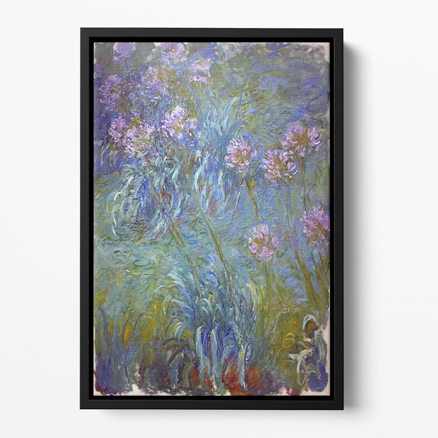 Agapanthus by Monet Floating Framed Canvas