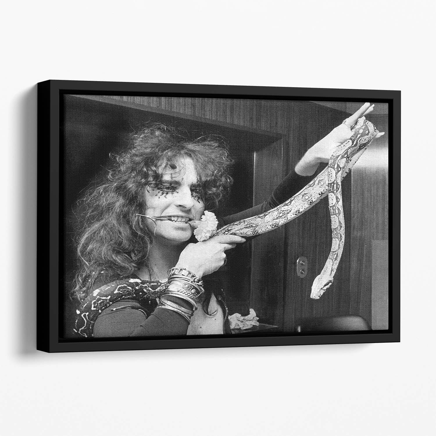 Alice Cooper with his snake Floating Framed Canvas