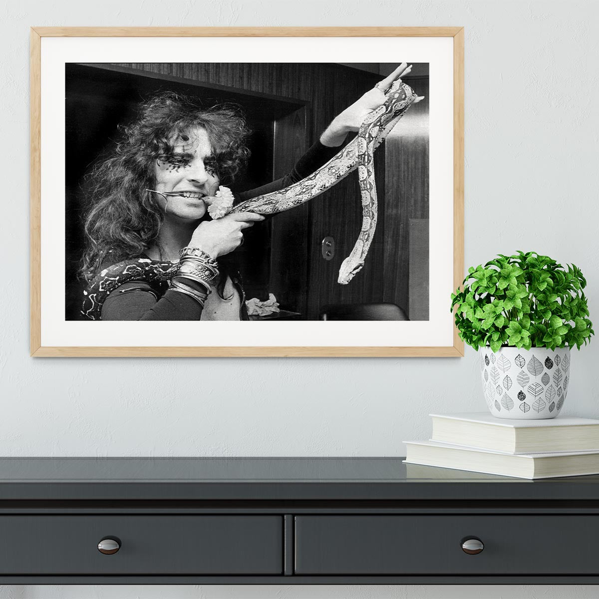 Alice Cooper with his snake Framed Print - Canvas Art Rocks - 3