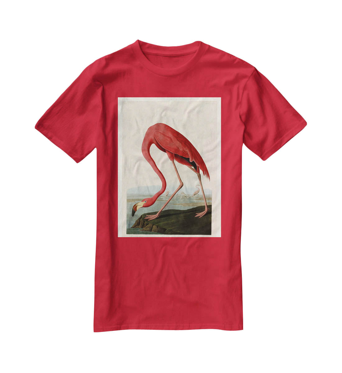 American Flamingo 2 by Audubon T-Shirt - Canvas Art Rocks - 4